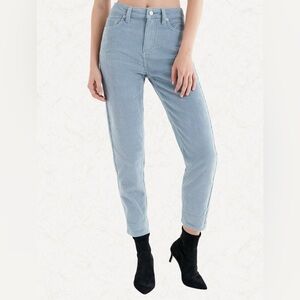 Urban Outfitters BDG High Rise Corduroy Mom Pants, Size 27